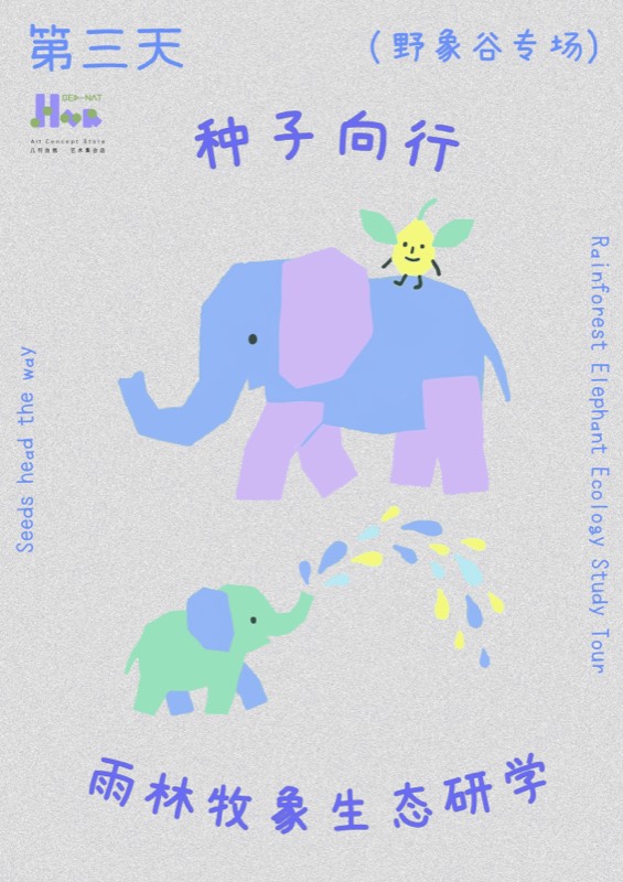 《观鸥日记》 绘本封面