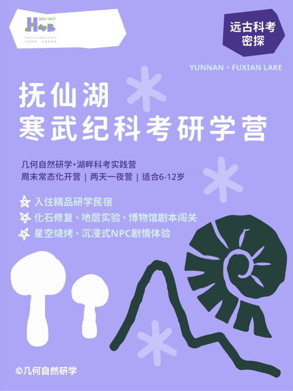 《幻域探险：大理秘录——一场神秘的消失案》 绘本封面